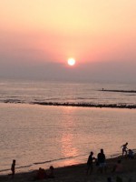 /album/asociacion-marina-de-sotogrande/la-foto-jpg/